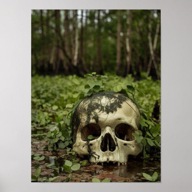 Skull in Swamp Horror Print Poster Wand Kunst (Vorne)