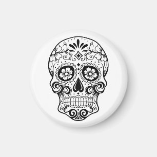 Skull/Magnet Magnet