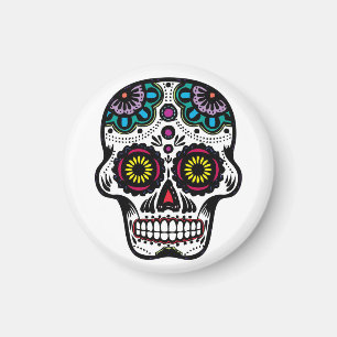 Skull/Magnet Magnet