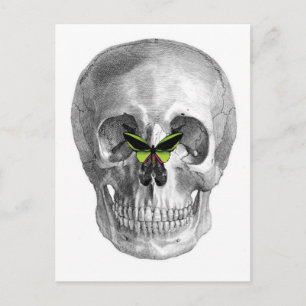 SKULL MIT SCHALTFLY AUF NOSE DRUCKEN POSTKARTE