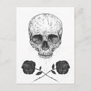Skull-N-Rose Postkarte