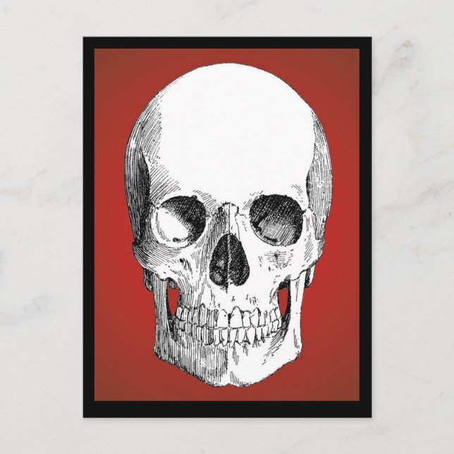Skull Postcard (rot) Postkarte (Vorderseite)