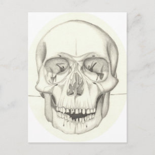 Skull-Postkarte Postkarte
