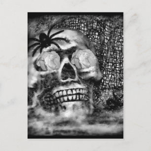 Skull-Spider und Rose-2012 Postkarte