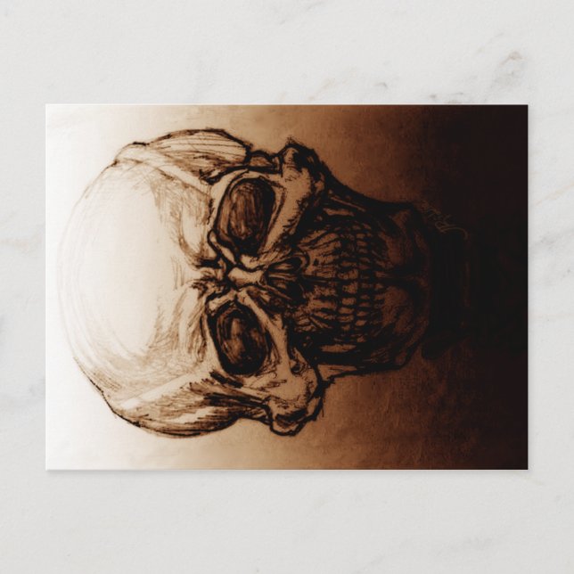 Skull-Studie Postkarte (Vorderseite)