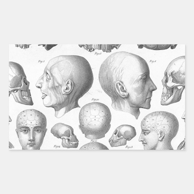 Skull-Typen Rechteckiger Aufkleber (Vorderseite)