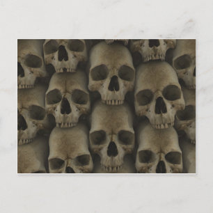Skull Wall Postkarte