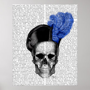 Skull with Blue Hat Poster