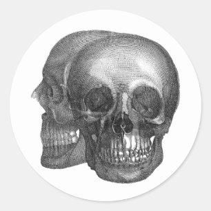 Skulls Umschlag Aufkleber Sticker