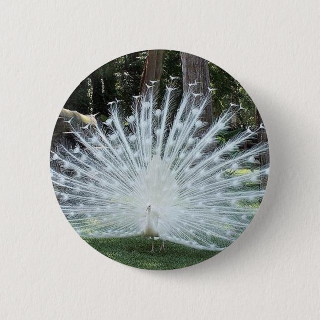 Skully Spitzenspaß Button (Vorderseite)