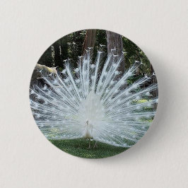 Skully Spitzenspaß Button