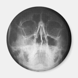 Skully Top Fun Magnet