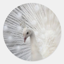 Skully Top Fun Runder Aufkleber