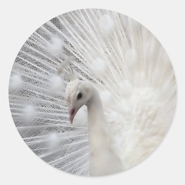 Skully Top Fun Runder Aufkleber (Vorderseite)