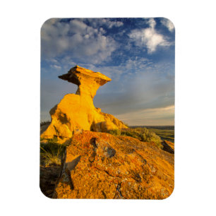 Skulpturierte Badlands-Formation in Kurzgras Magnet