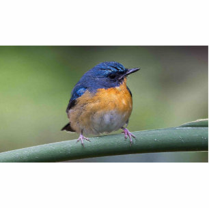 Skulpturmagnet des Fotos 2x3 Fotoskulptur Magnet