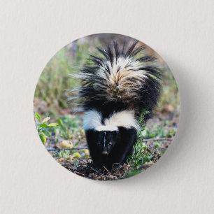 Skunk Black and White Button
