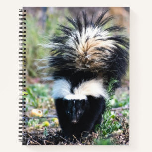 Skunk Black and White Notizbuch