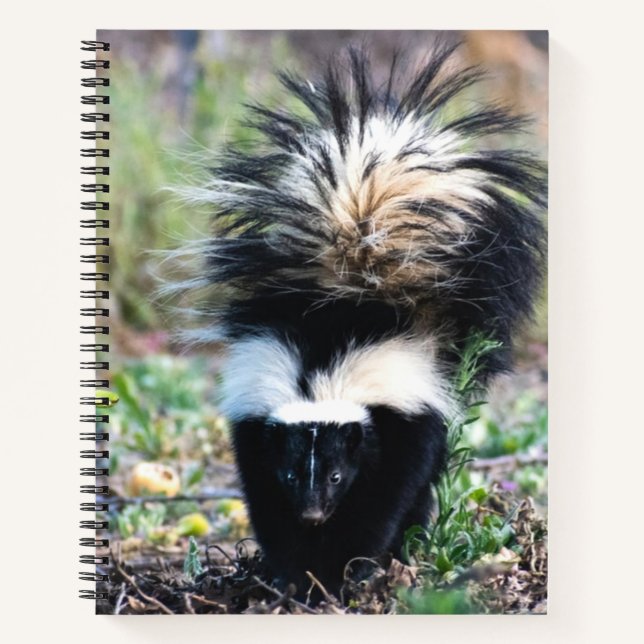 Skunk Black and White Notizbuch (Vorderseite)