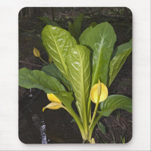 Skunk Cabbage - Mousepad