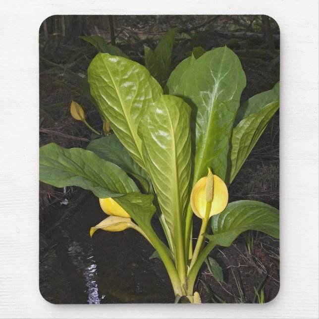 Skunk Cabbage - Mousepad (Vorne)