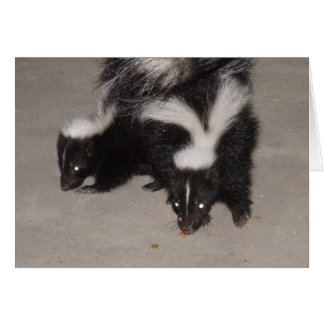 Skunk Card Blank / Gedicht auf der Rückseite