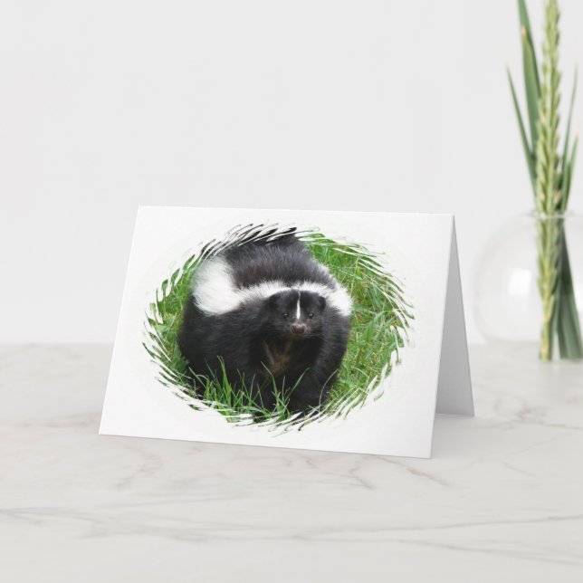 Skunk Foto Grußkarte Karte (Vorderseite)