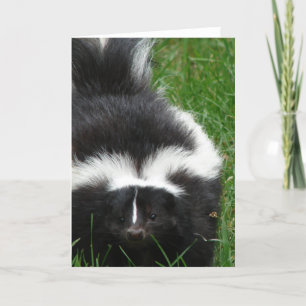 Skunk Greeting Card Karte