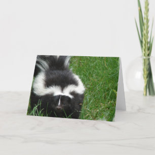 Skunk Greeting Card Karte