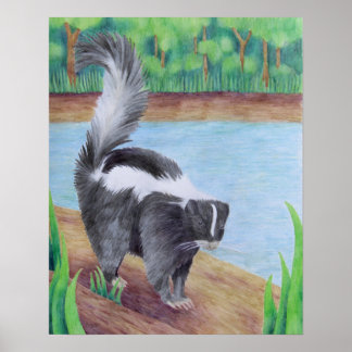 Skunk Poster