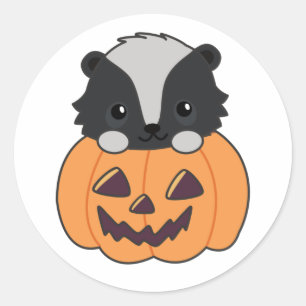 Skunk Pumpkin Niedlich Skunks Happy Halloween Clas Runder Aufkleber