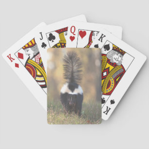 Skunk Spielkarten