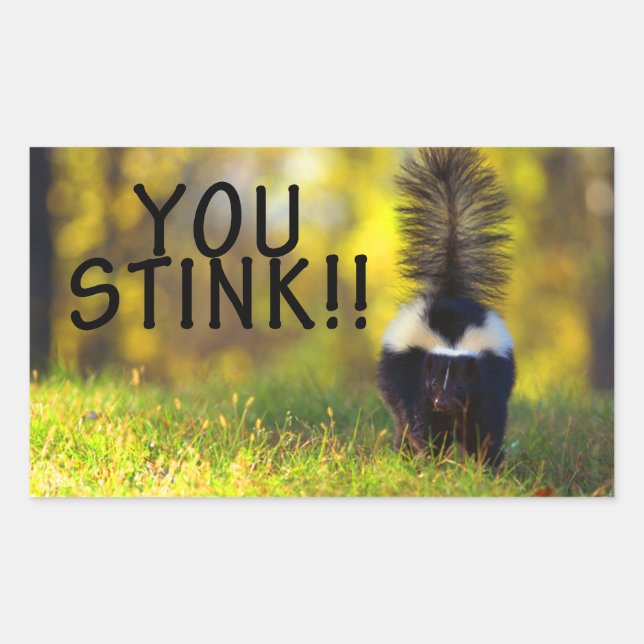 Skunk You Stink Rechteckiger Aufkleber (Vorderseite)