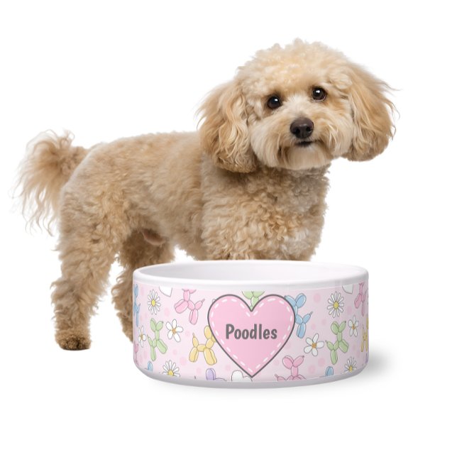 Skurril-bunte Pudel-Pet-Schale mit individuellem N Napf (Von Creator hochgeladen)
