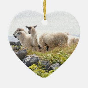 Skurrile Designs - Schafe auf einem Feld Keramik Ornament