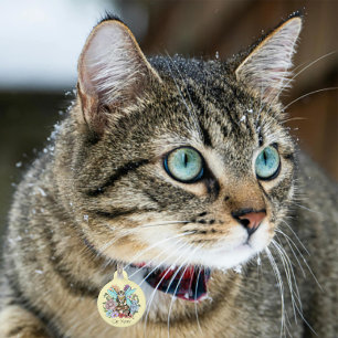 Skurrile Pastell-Tabby-Fee-Katze Blumen-Fantasie  Haustiermarke