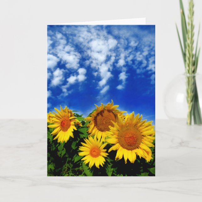 Sky and Bloom , Karte (Vorderseite)