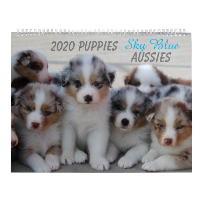 Sky Blue Aussies 2020 Kalender (Titelbild)