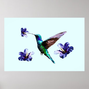 Sky Blue Gorgeous Hummingbird/Hibiskus Poster