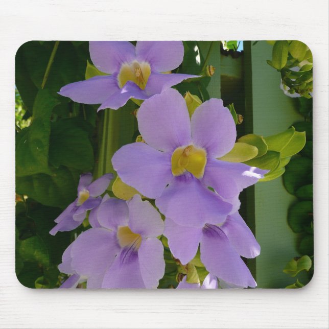 Sky Blume Tropischer Lila Blumen Mousepad (Vorne)