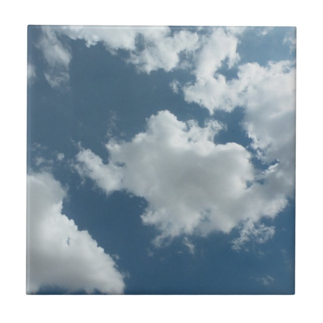 Sky Fliese (Vorderseite)