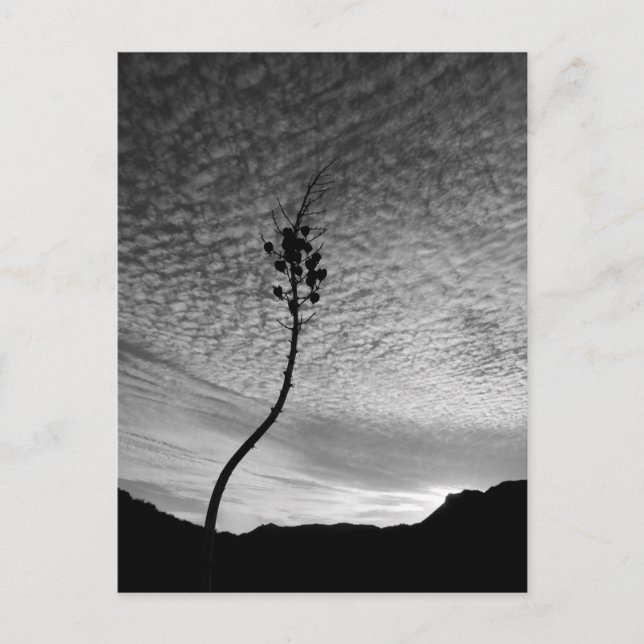Sky Landscape Postkarte (Vorderseite)