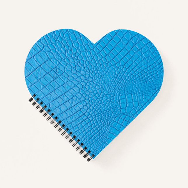 Sky Leder Notizbuch (Vorderseite)