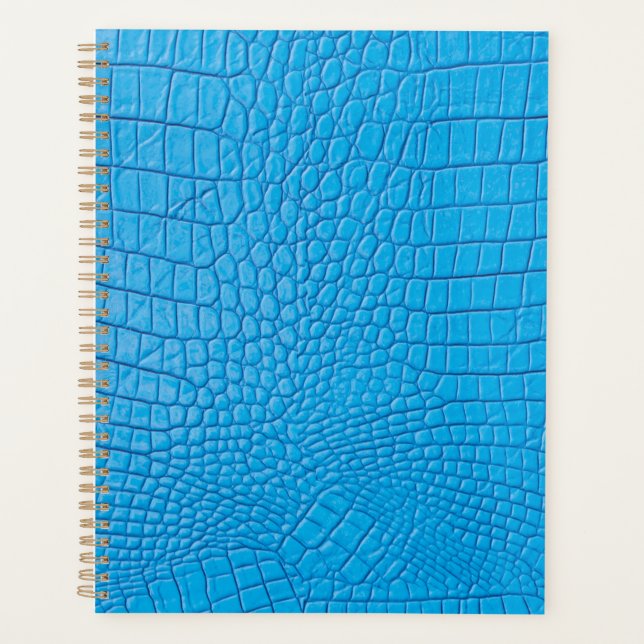 Sky Leder Planer (Vorderseite)