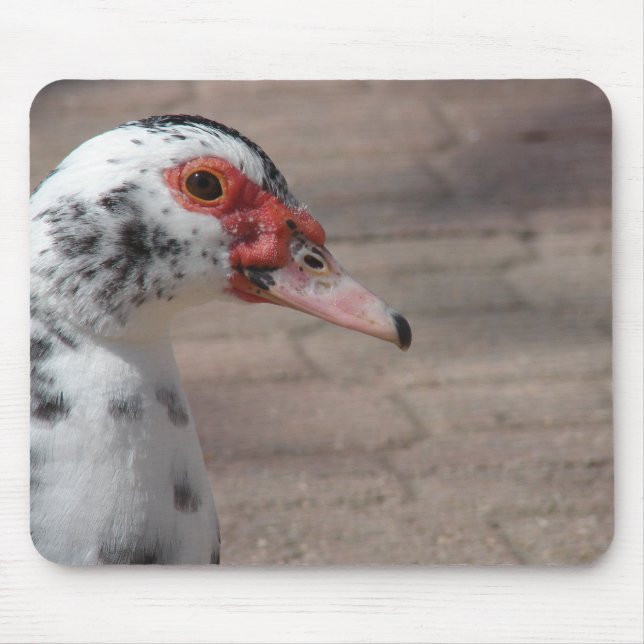 Sky Mousepad (Vorne)