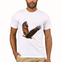 Sky Souvereign: Majestic Eagle