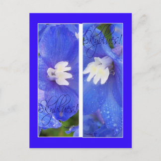 SKYBLUES II-LESEZEICHEN POSTKARTE
