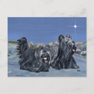 SKYE Terrier auf einem Winter-Abend Postkarte
