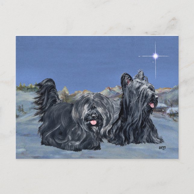 SKYE Terrier auf einem Winter-Abend Postkarte (Vorderseite)