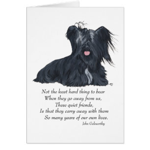 Skye Terrier Erinnerung